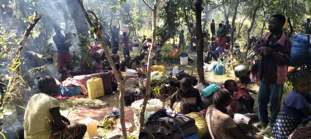 whatsapp image 2025 11 25 at 14.31.56 whatsapp image 2025 11 25 at 14.31.56