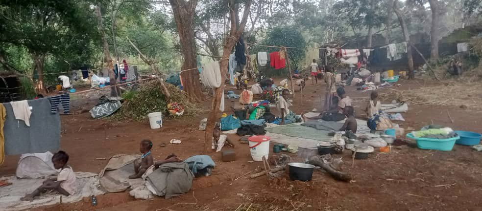 whatsapp image 2025 11 25 at 14.38.24 whatsapp image 2025 11 25 at 14.38.24