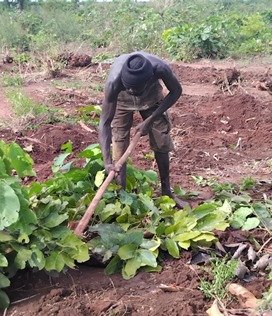 whatsapp image 2025 11 27 at 10.41.23 whatsapp image 2025 11 27 at 10.41.23